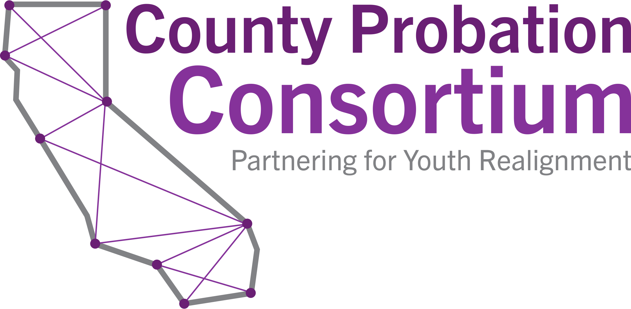 County Probation Consortium